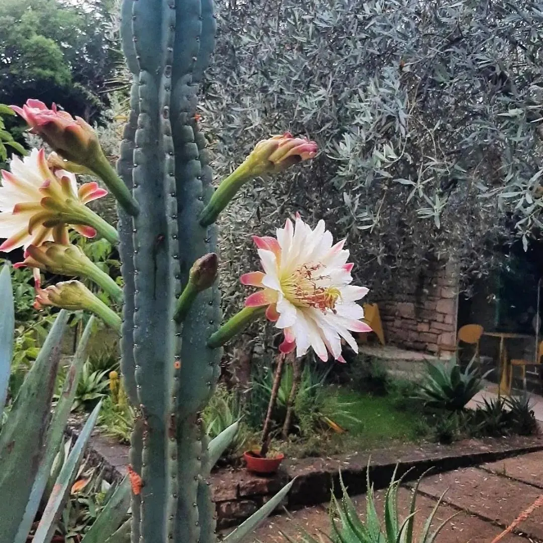 Holiday home Atelier Dei Ciliegi Villa Cammarata Italy