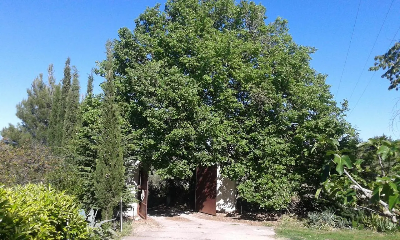 Atelier Dei Ciliegi Villa Cammarata 0*,  Italy