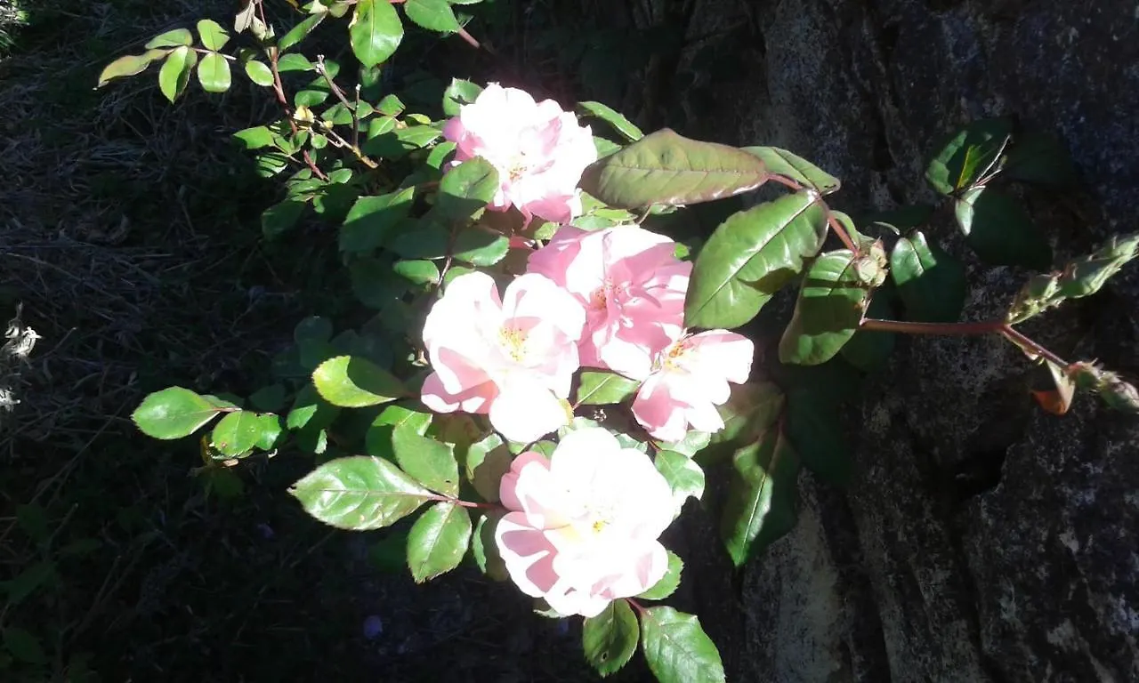 Atelier Dei Ciliegi Villa Cammarata Holiday home