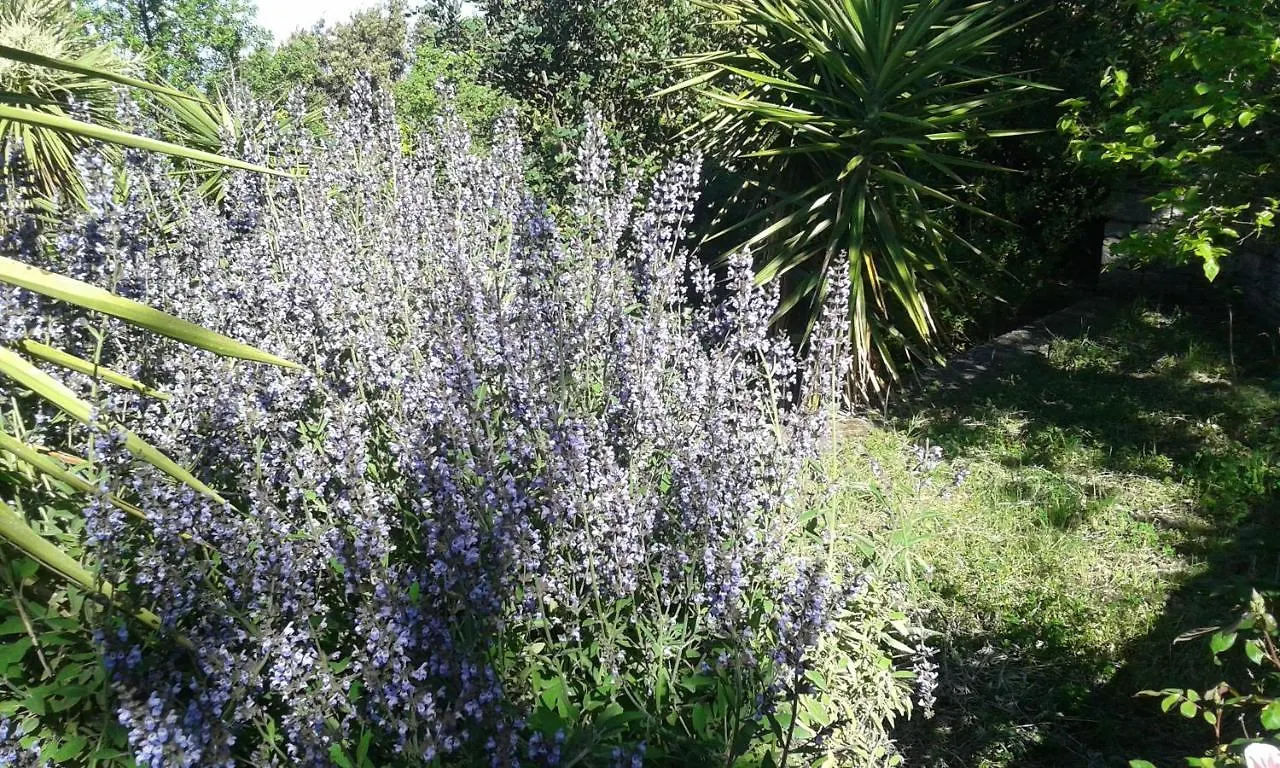 Atelier Dei Ciliegi Villa Cammarata